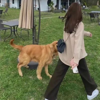 珍珠劫